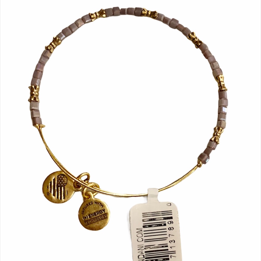 Alex and Ani Celestial Twilight Crystal Charm Bracelet Beaded Aubergine